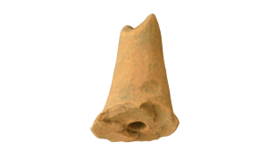 Spout
