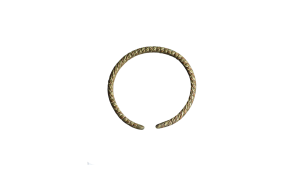 Bangle