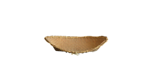 Winnowing fan