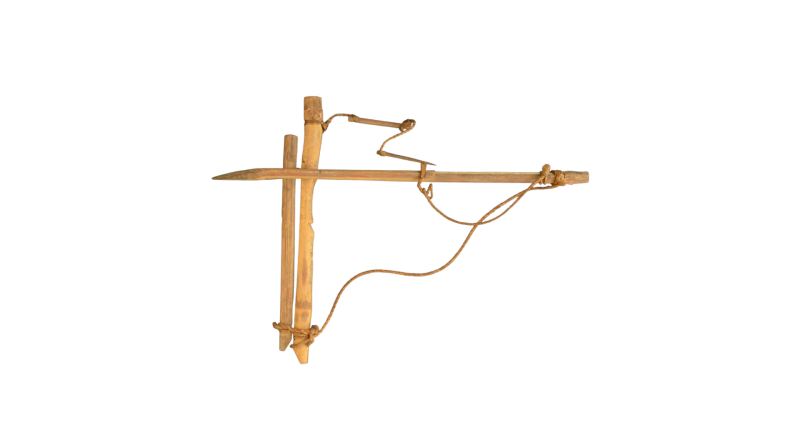 Rabbit snare
