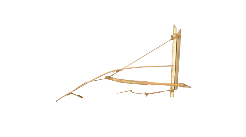 Rabbit snare