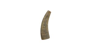 Hornpipe musical instrument
