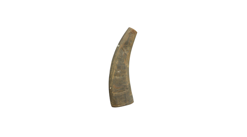 Hornpipe musical instrument