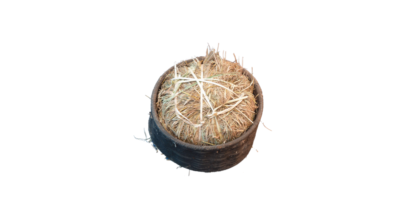Basket for storing rice seed