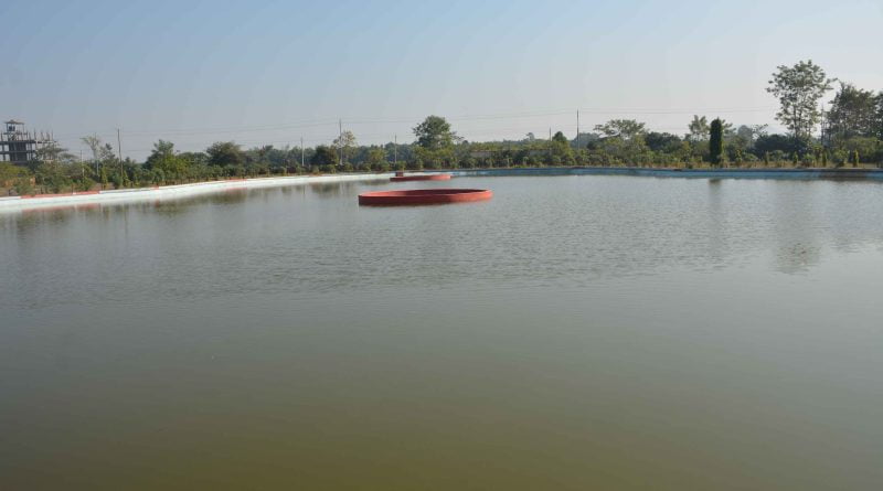 Bodoland Martyrs Cemetery