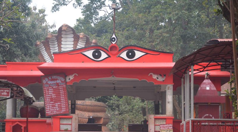 Mahamaya Temple (3)
