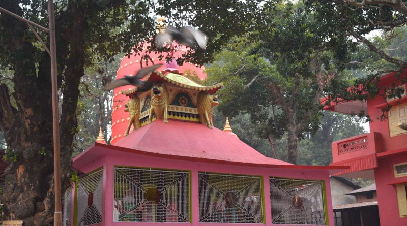 Mahamaya Temple (5)