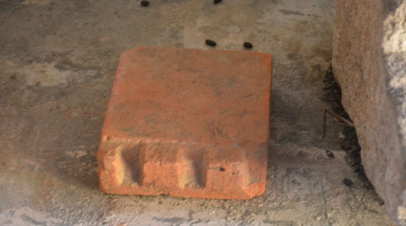 Tamreshwar Devalaya (34)